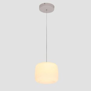 PA1030 Pendant Light