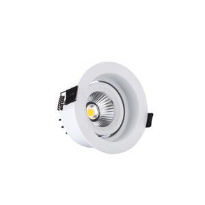 SD1028 LED Downlight
