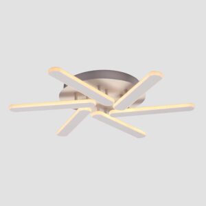 XE1039S Ceiling Light