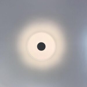 XE8316 Minimalist Ceiling Light