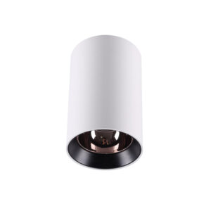SDL8203 Ceiling Light