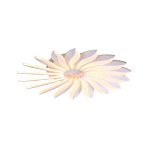 XE2061 Ceiling Light