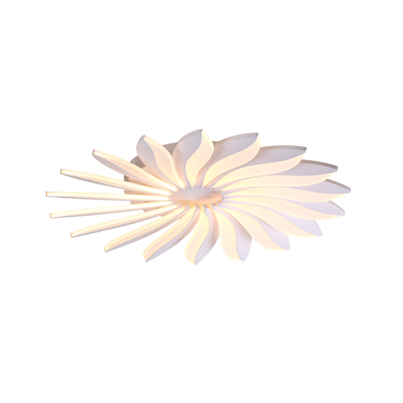 XE2061 Ceiling Light