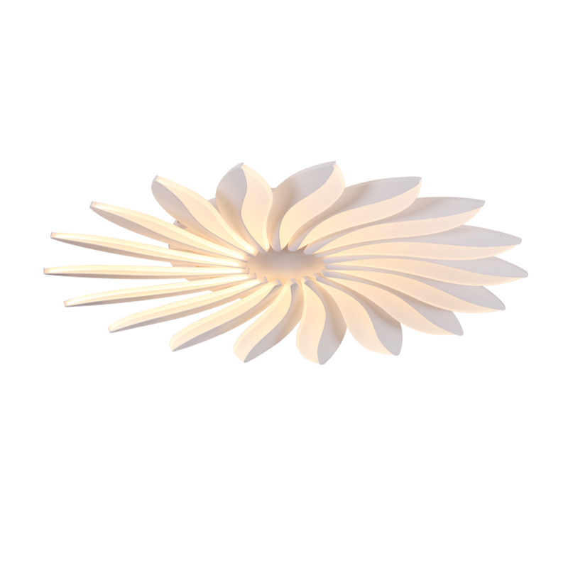 XE2061 Ceiling Light
