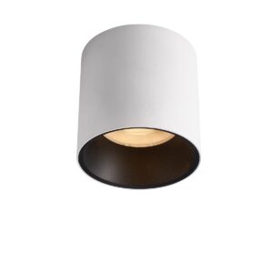 MTD1070-10 High Lumen Output Surface Mounted Down Light