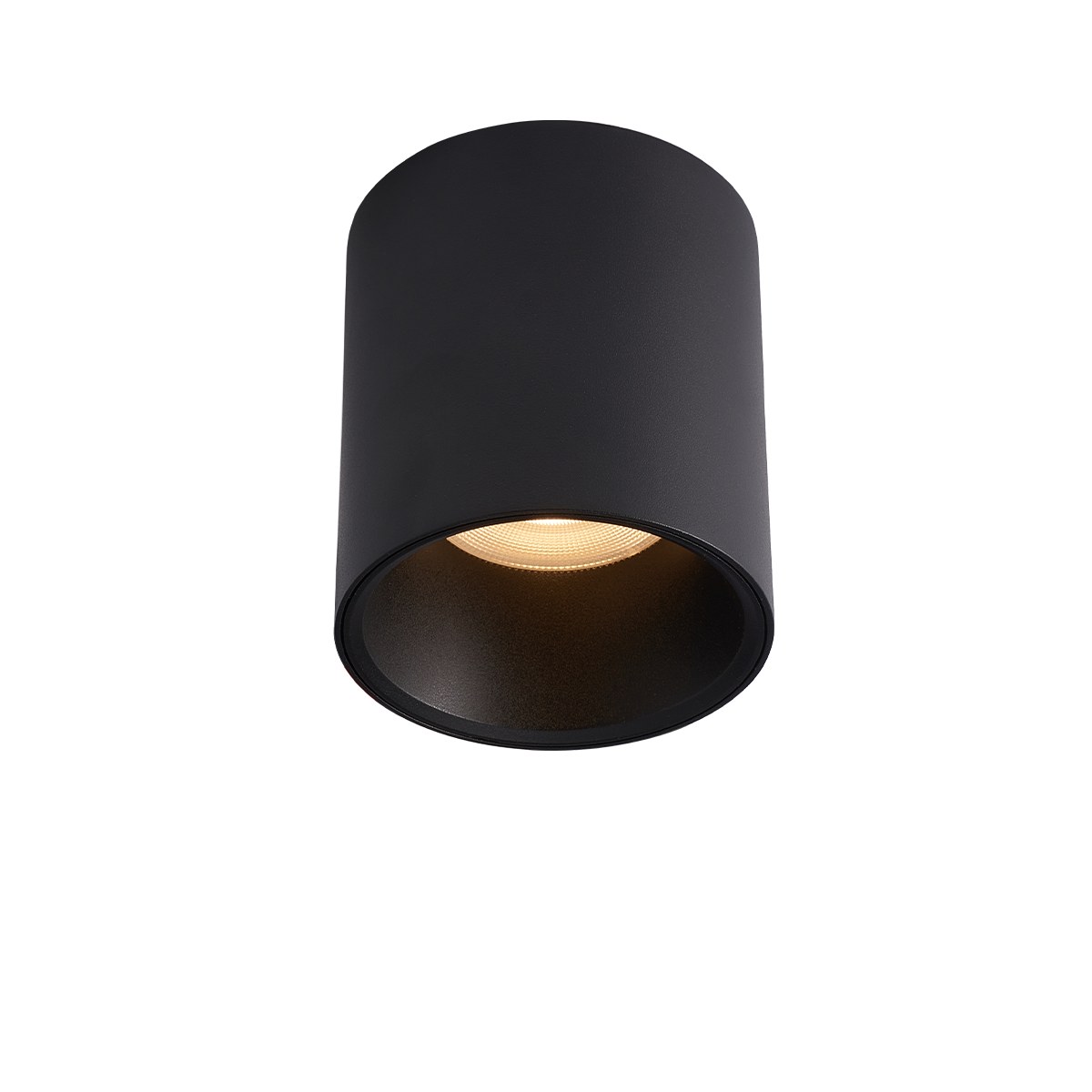 MTD1070-10 High Lumen Output Surface Mounted Down Light